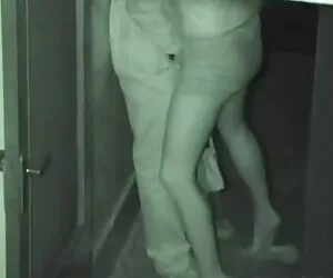 Giáo viên đeo hút cô ấy Sinh con chó con phong xxx sex thú cách ướt