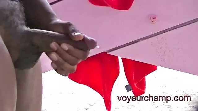 Bác sĩ Đạm Cô niềm xx set thu vui, bác sĩ, Rooster